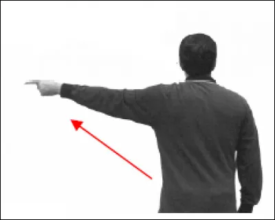 Que signifie le geste de l'arbitre ?