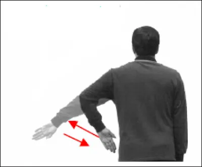 Que signifie le geste de l'arbitre ?