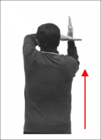 Que signifie le geste de l'arbitre ?