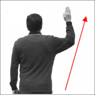 Que signifie le geste de l'arbitre ?