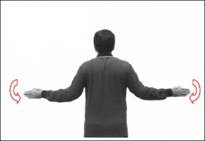 Que signifie le geste de l'arbitre ?