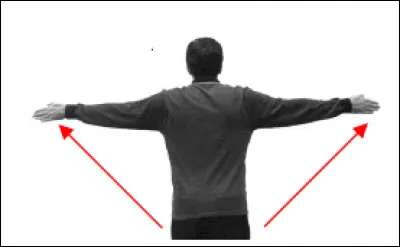 Que signifie le geste de l'arbitre ?