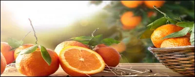 Si je vous qualifie de vrai épicurien, c'est parce que [...] représente votre couleur symbole : celle de la bonne humeur et de la créativité !