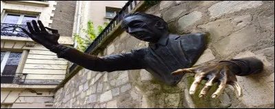 Dans un roman, c'est la couleur d'une jument !