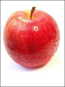 Quelle est cette sorte de pomme ?