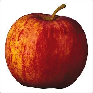 Quelle est cette sorte de pomme ?