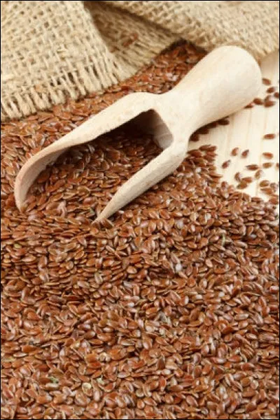 Qu'utilisaient les médecins grecs pour réduire le cholestérol ?