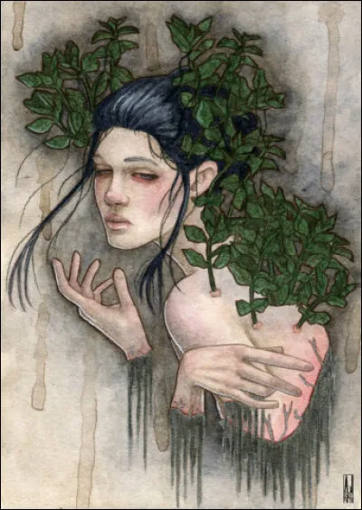 Cette nymphe porte le nom d'une plante largement utilisée pour le soulagement de divers maux de tête, comme les migraines. Qui est-elle ?