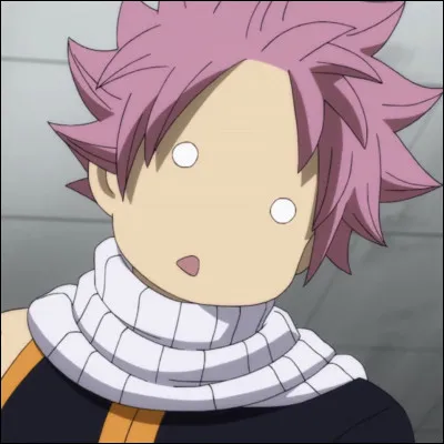 Qui aime Natsu ?