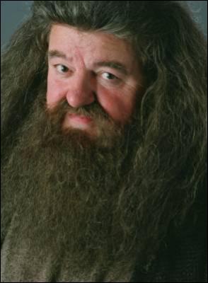 Quel est le prénom de Hagrid ?