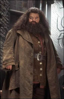 Avec qui Hagrid est parti essayer de convaincre les géants de devenir leurs amis ?