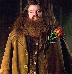 En quelle année Hagrid fut renvoyé du collège (quant il etait enfant) ?