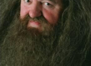 Quiz Hagrid dans harry potter