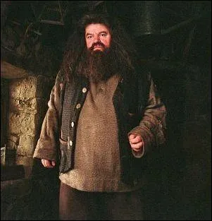 Comment s'appelle la mre de Hagrid ?