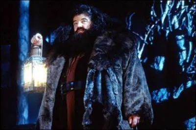 Comment s'appelle la crature que Harry avait soign et promen en quatrime anne en soin aux cratures magiques ?