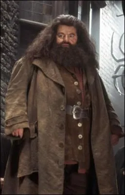 Avec qui Hagrid est parti essayer de convaincre les gants de devenir leurs amis ?
