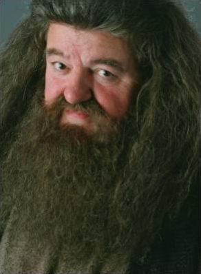 Hagrid dans harry potter