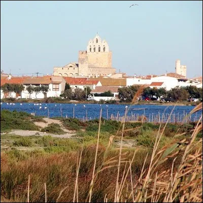 Quelle r&eacute;gion naturelle fran&ccedil;aise, situ&eacute;e entre deux bras du Rh&ocirc;ne, comprend la commune des Saintes-Maries-de-la-Mer ?