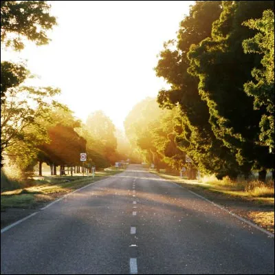 Quel chanteur a &eacute;t&eacute; r&eacute;v&eacute;l&eacute; par le tube "Sur la route" en 1994 ?