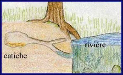 Cet animal lui aussi creuse un terrier, ou emprunte celui d'une autre esp&egrave;ce !