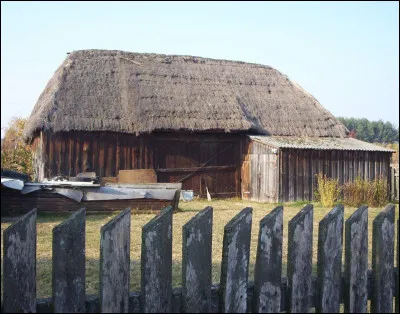 À quel auteur doit-on la Forêt des Mânes, paru en 2009 ?