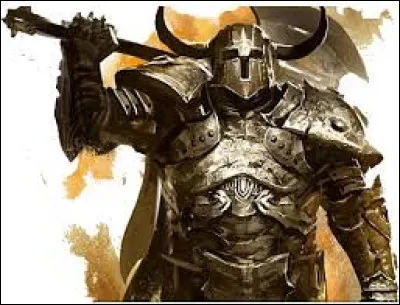 Tu arrives dans un donjon et un homme en armure garde l'entrée.