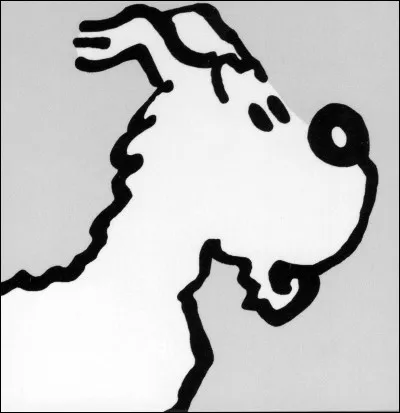 Comment se nomme le chien fidèle de Tintin ?