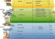 Quiz Les temps géologiques
