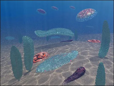 Parmi les propositions concernant le Précambrien, laquelle est juste ?