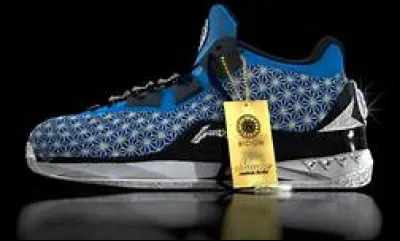 Les baskets de Fire Monkey
Combien coûte ce modèle ?