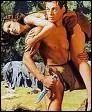 Tarzan et...