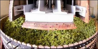 Comment est effectué le pressurage en Champagne ?