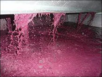 Quel est le taux limite d'extraction d'un marc ? (en moût débourbé)