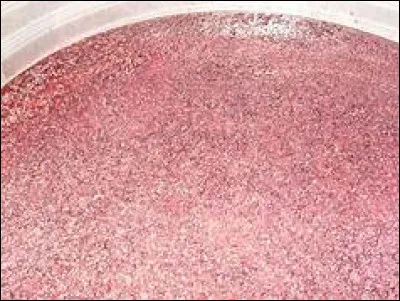 Lorsque l'on presse 160 kg de raisins, combien reste-t-il de moût débourbé ? (litres)