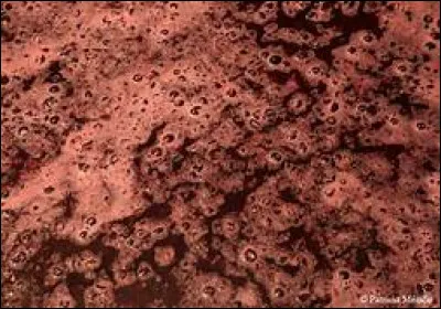 Pour 160 kg de raisins, combien de litres d'AOP Champagne reste-t-il ? (litres)