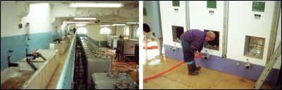 Combien y a-t-il de pourcentage de bourbes envoyées en distillerie après débourbage ?