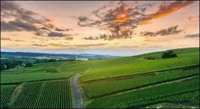 Combien y a-t-il de nombre de crus dans la Champagne ?