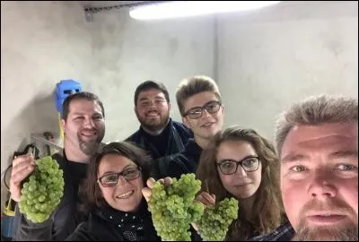 Combien y a-t-il de grands crus ?