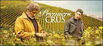 Combien y a-t-il de premiers crus ?