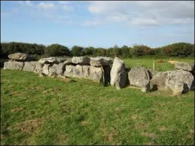 Je vous propose de partir dans la Manche à la découverte de l'allée couverte de la Forge, à Bretteville. Ce monument mégalithique se trouve en région ...
