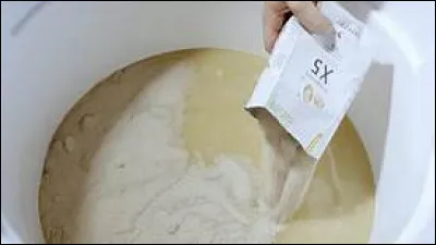 Quelle quantité de levures peut-on avoir au minimum par mL de moût ?