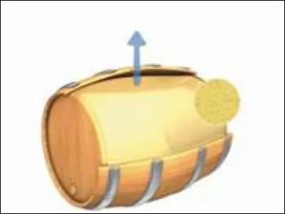 La fermentation malolactique, c'est la transformation de lacide malique en acide lactique par les bactéries lactiques avec production de CO2. Quelle est la durée de la FML ?