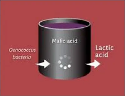 De combien lacidité totale baisse-t-elle ?