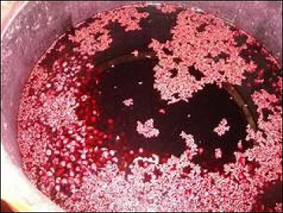 Quelle est la teneur en sucre en fin de fermentation alcoolique ?