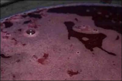 Quelle est la température recherchée en champagne pendant le fermentation alcoolique ? (Cela nous permettra d'obtenir le maximum de finesse et de complexité aromatique)