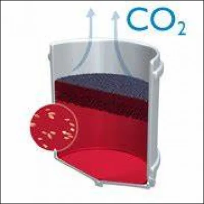 Quelle est la température maximum supportée par les levures ?
(Sinon les levures meurent)