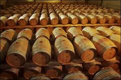 Quel est le degré alcoolique après FA ?
(pourcentage de volume alcoolique)