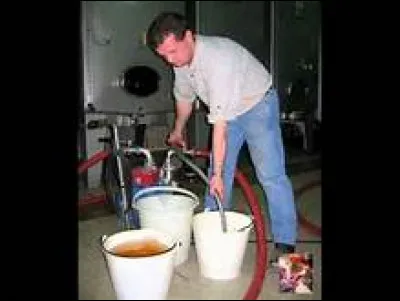 Pour la mixtion, le mélange doit être parfaitement homogène. Mais combien faut-il de pourcentage de levain pour avoir 1 à 3 millions de levures actives/mL de mixtion ?