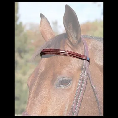 Comment sappelle ce qui est en couleur ?