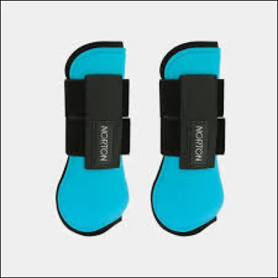 Comment sappelle cet objet ?